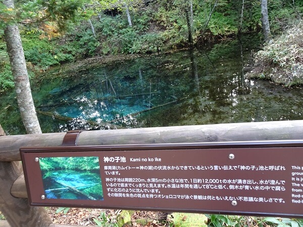 神の子池の案内板