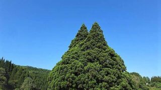 記念撮影スポット