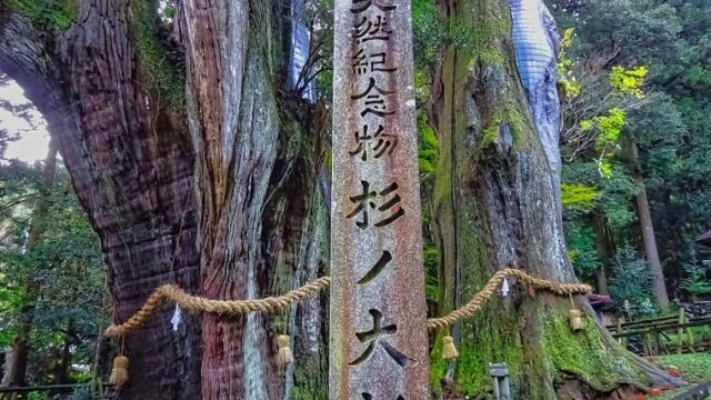 苔むした岩肌